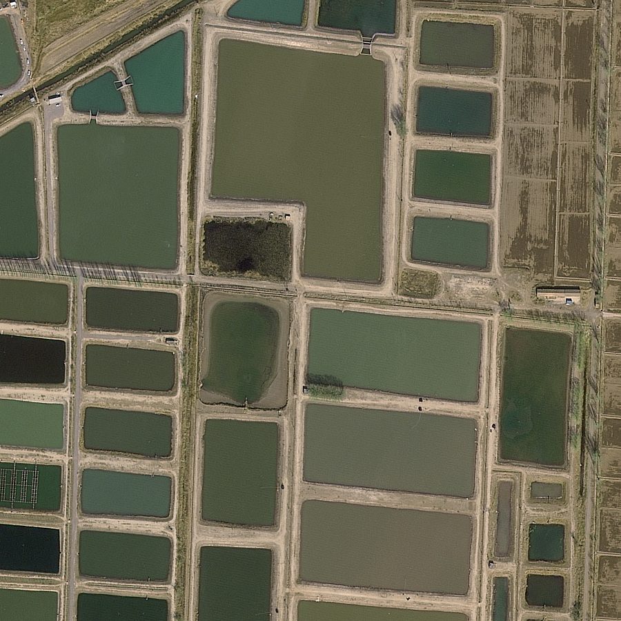 0.5 m satellite image of aquaculture ponds and farmland